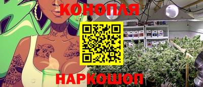 наркотики Будённовск