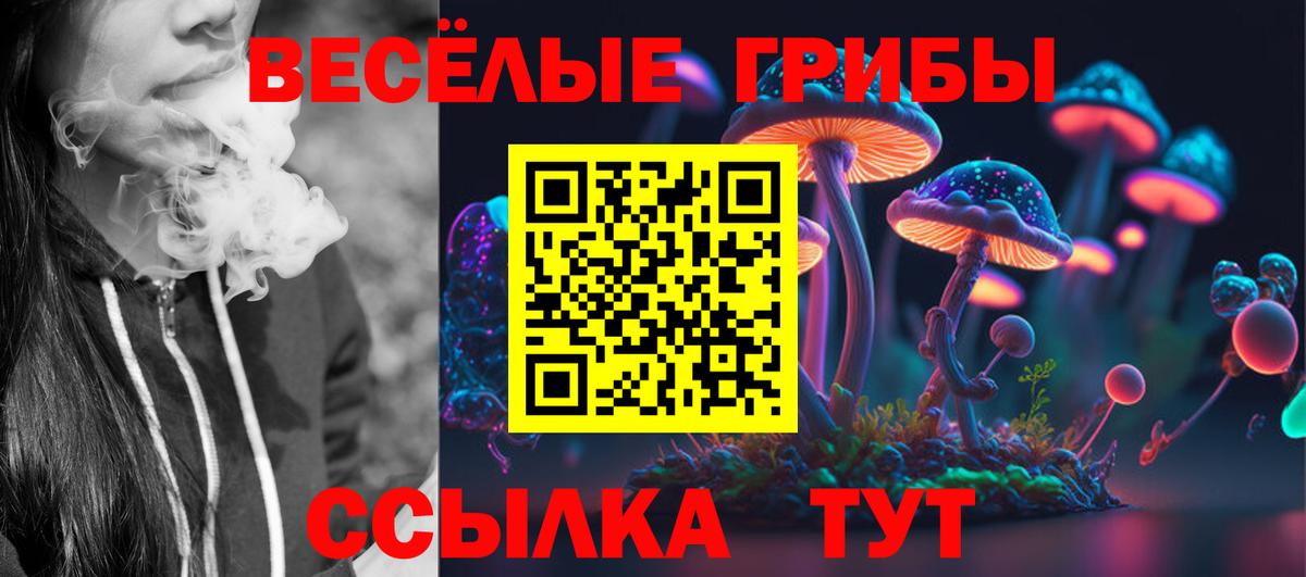 Галлюциногенные грибы Psilocybe  Вход с VPN  Минусинск 