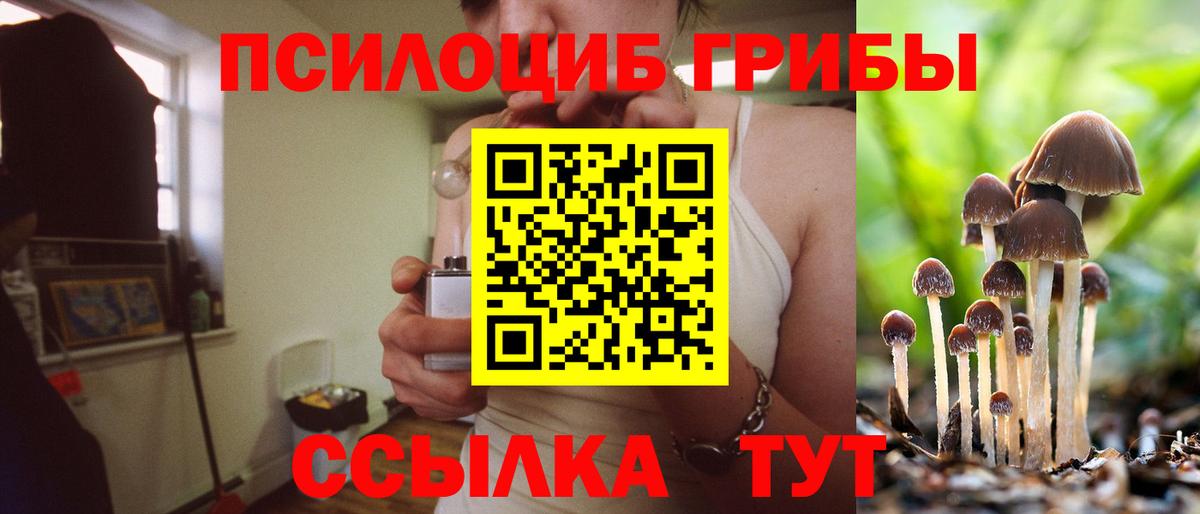Галлюциногенные грибы мицелий Минусинск